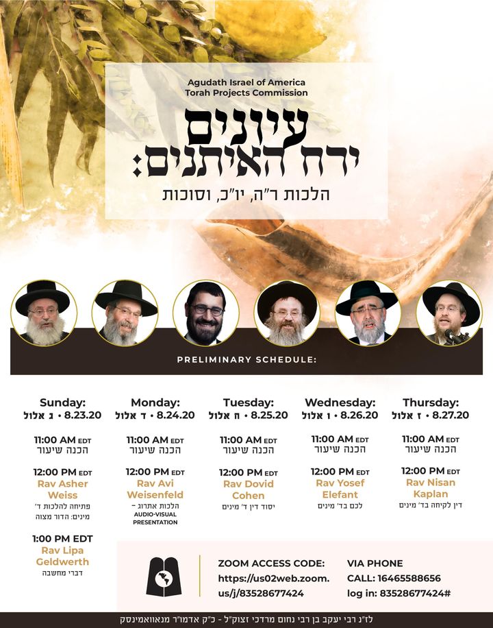 Agudath Israel’s Torah Projects is Proud to Present Yerach Ha'eysonim: A Virtual Yarchei Kallah Program for Hilchos Rosh Hashana, Yom Kippur, and Sukkos 1